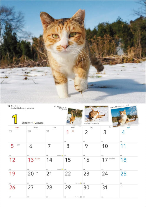 2025 Sachiyo Nakamura Cat Stroll Wall Calendar