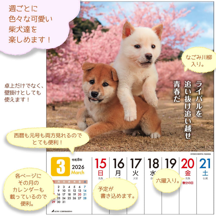Active Corporation 2026 Desk Calendar Datte Shiba Damono. 26ACL-566
