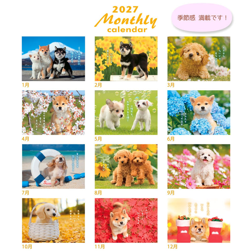 Active Corporation 2027 Wall Calendar DOG Monthly 27ACL-05