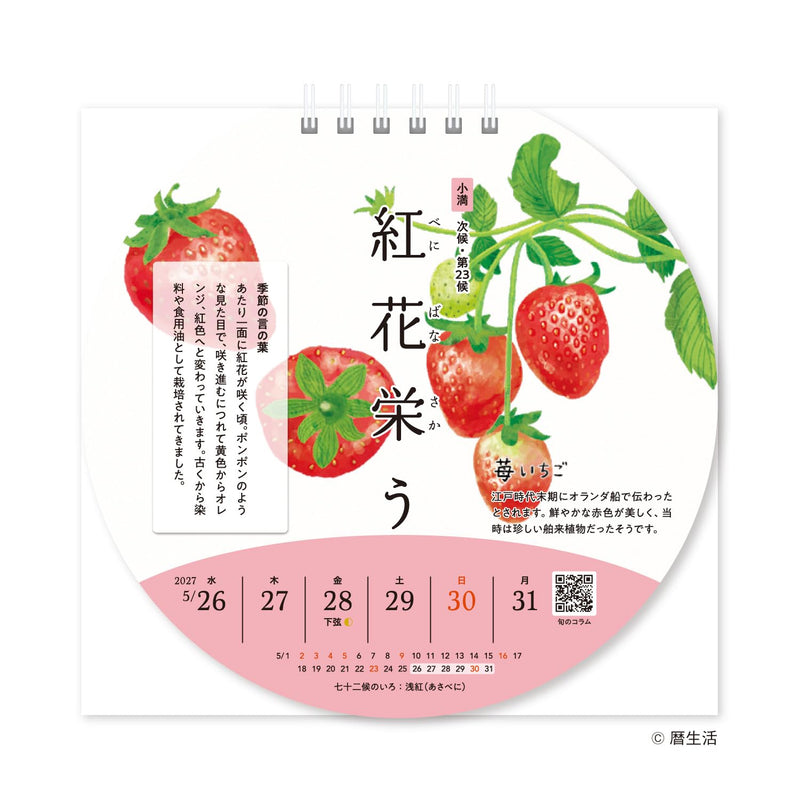Eco Wall Calendar 2027 Modified B3 E52