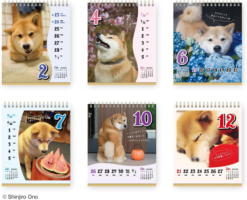 New Japan Calendar 2025 Desk Calendar Shiba Inu Maru's Chatter Weekly Flip NK4308