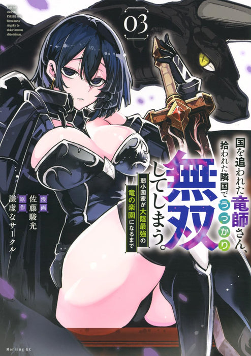 Kuni wo Owareta Ryuushi-san, Hirowareta Ringoku de Ukkari Musou shite Shimau. - Jakushoukokka ga Tarikusaikyou no Ryuu no Rakuen ni Naru made - 3