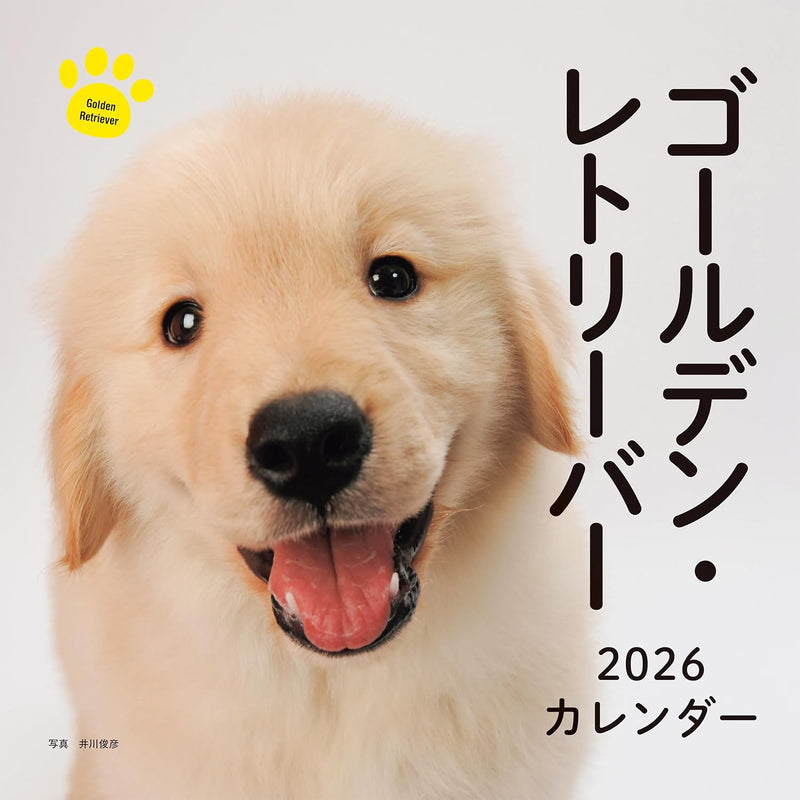 2026 Golden Retriever Calendar (Seibundo-shinkosha Calendar)