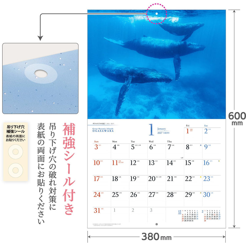 Shashin Koubou Calendar 'Great Oceanic Islands OGASAWARA' 2027 Wall Calendar (with Paper Holder)