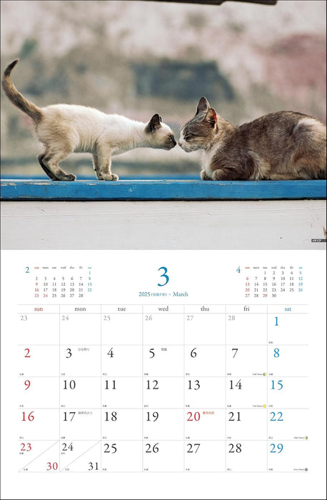 Mitsuaki Iwago World Cat Calendar 2025