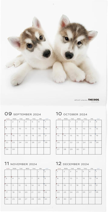 THE DOG 2025 Wall Calendar Large Size [Siberian Husky]