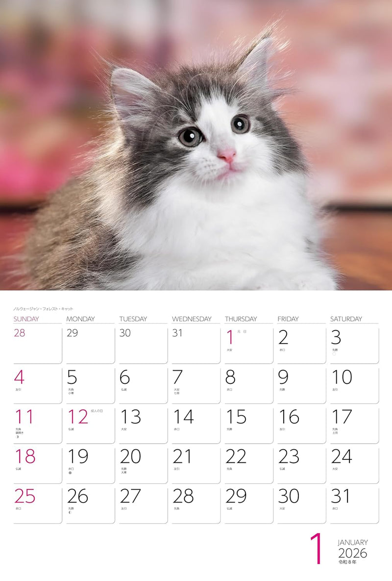 Calendar 2026 Cats (Monthly/Wall Ring Calendar) (Yama-kei Calendar 2026)