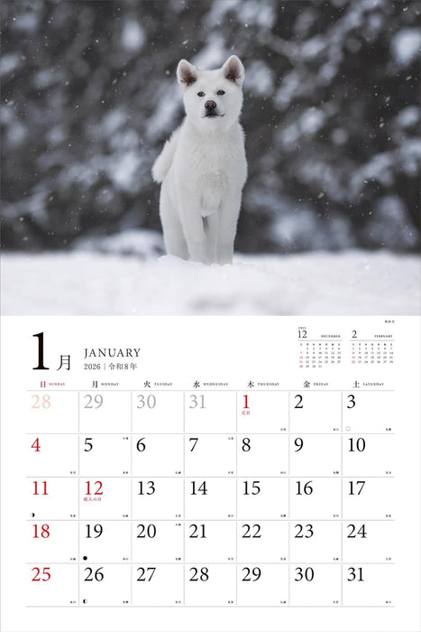 Adorable Dogs of Japan Calendar 2026 (Montly/Wall Calendar/Large)