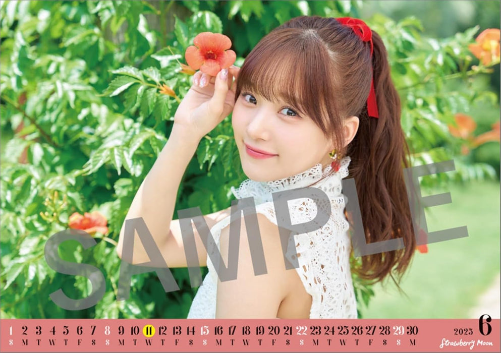 Hagoromo Manaka Inaba 2025 Desk Calendar 2025 April Start CL25-4501