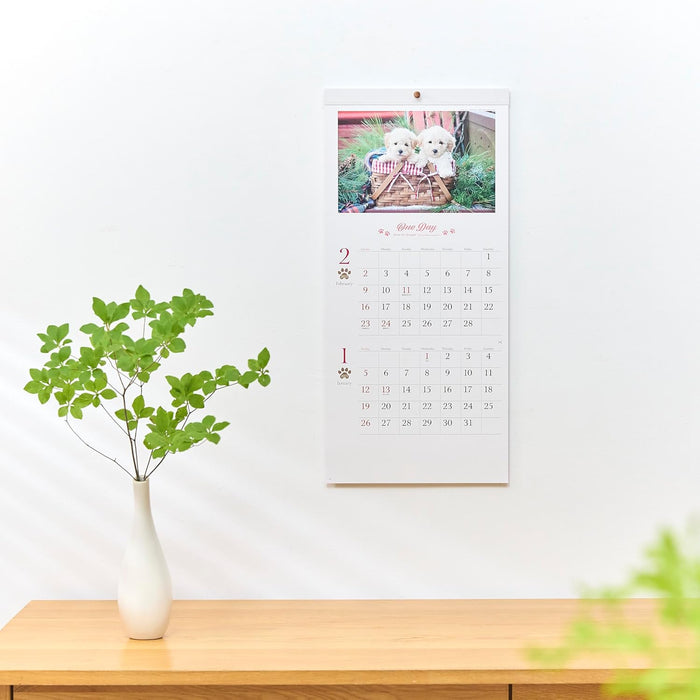 New Japan Calendar 2025 Wall Calendar One Day 2 Months Type NK904