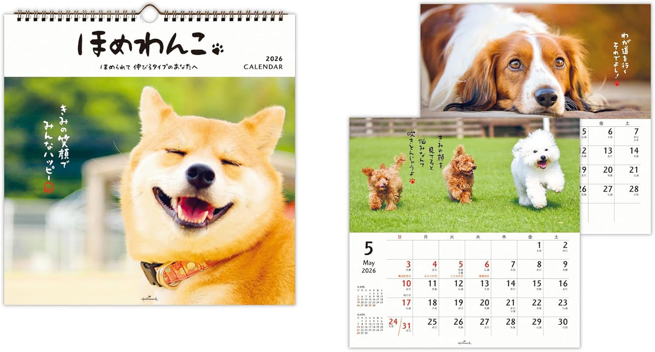 Hallmark 2026 Wall Calendar Homewanko Large 845292