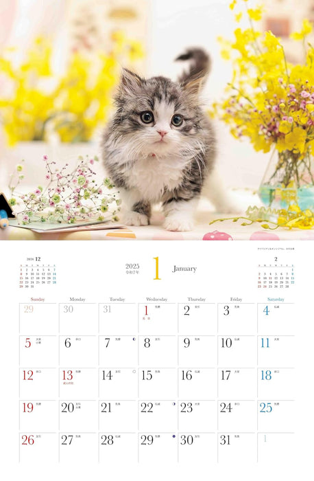 Calendar 2025 Beloved Kittens and Flowers (Monthly/Wall Calendar) (Yama-kei Calendar 2025)