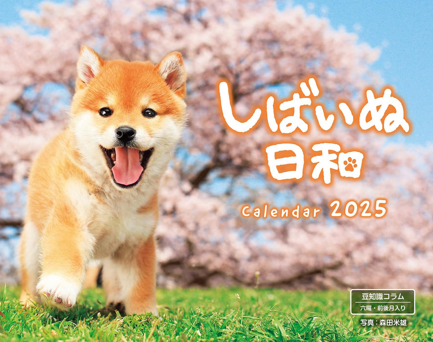 Calendar 2025 Shiba Inu Biyori (Monthly/Wall Calendar) (Impress Calendar 2025)