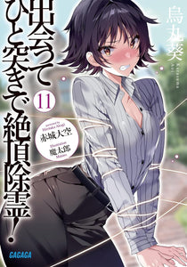 Deatte Hitotsuki de Zecchou Jorei! 11 (Light Novel)