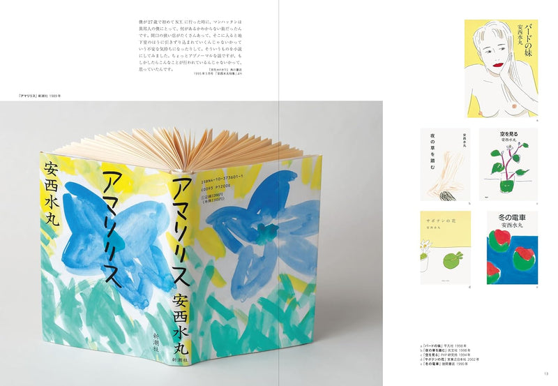 New Edition Illustrator Mizumaru Anzai