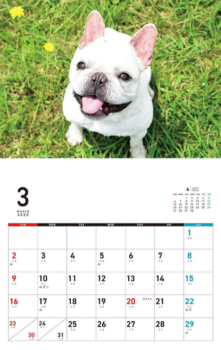 I LOVE French Bulldog Calendar 2025 (Monthly/Wall Calendar)