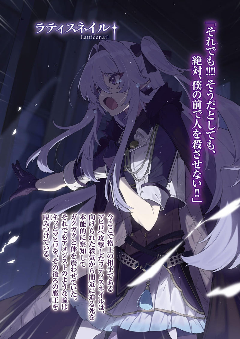 Assassin de Aru Ore no Status ga Yuusha yori mo Akiraka ni Tsuyoi no da ga 6 (Light Novel)