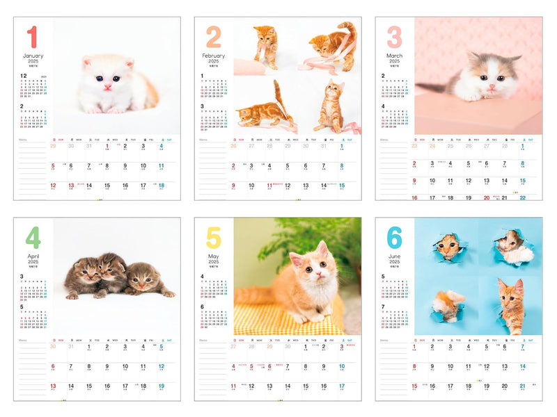 Plenty of Writing Space Calendar 2025: Together with Kittens Calendar + Memo (Impress Calendar 2025)