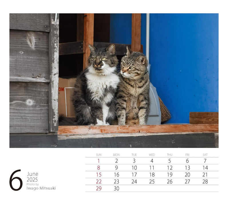 2025 Mini Calendar Mitsuaki Iwago Cats