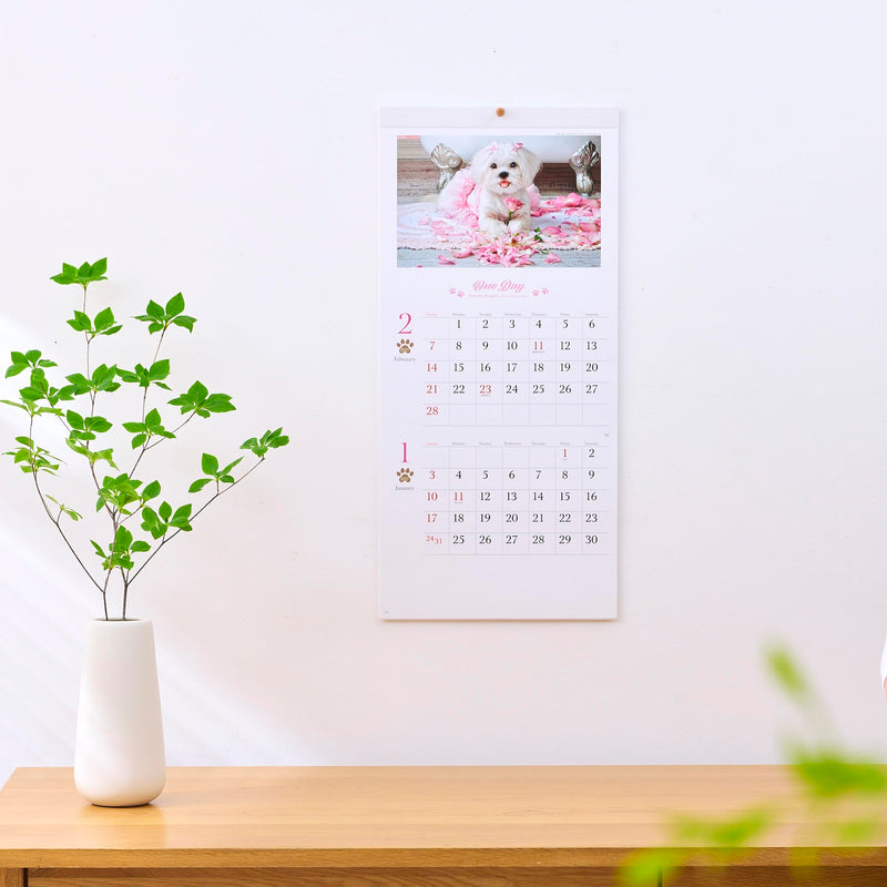 New Japan Calendar 2027 Wall Calendar One Day 2-Month Type NK904