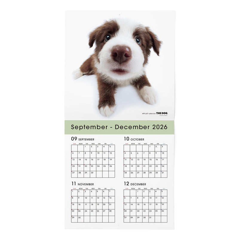 THE DOG 2027 Wall Calendar Large Size [Border Collie]