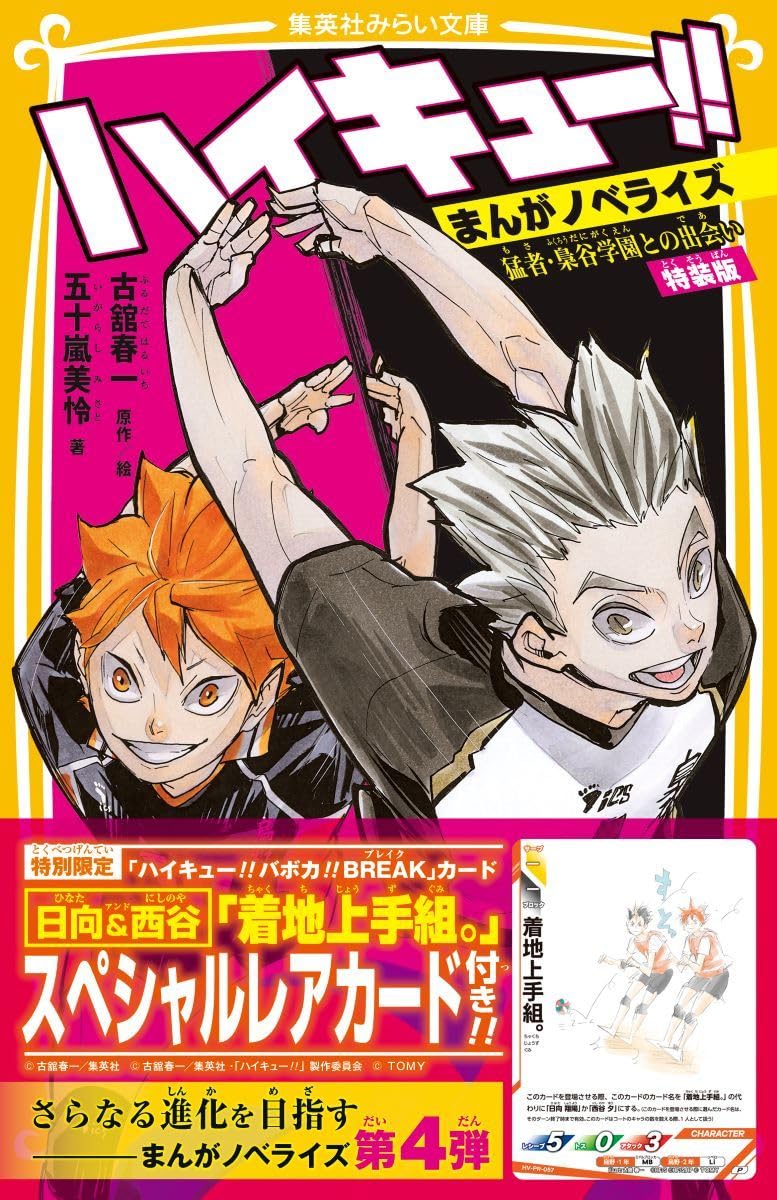 Haikyu!! Manga Novelize Mosa Fukurodani Gakuen tono Deai Special Edition