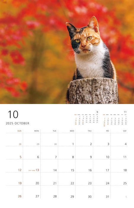 Mitsuaki Iwago Cat Wall Calendar 2025