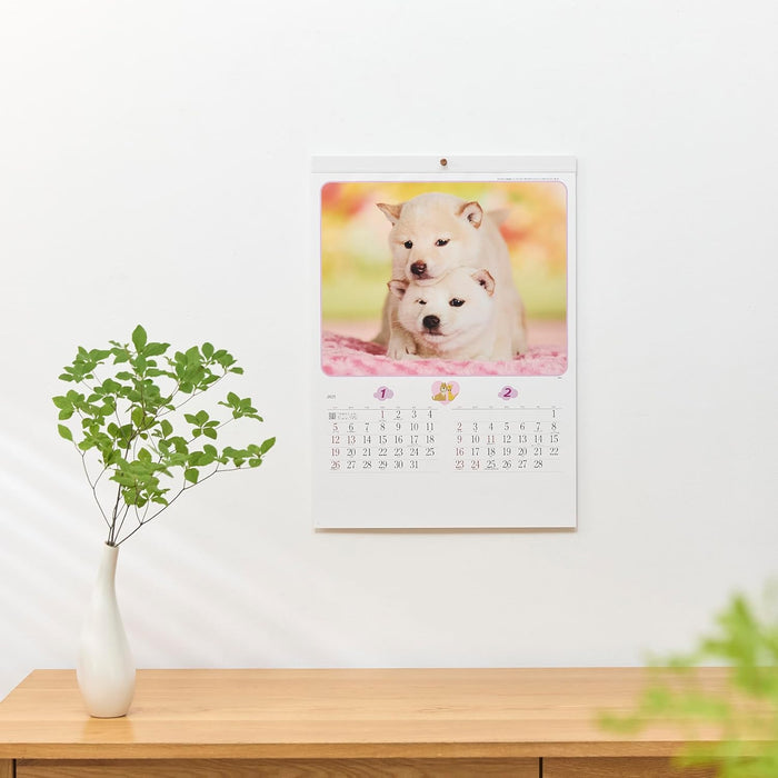 New Japan Calendar 2025 Wall Calendar Charming mate NK49