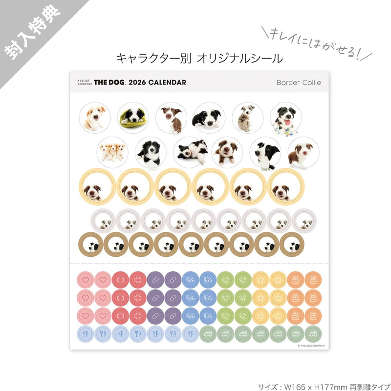 THE DOG 2026 Desk Calendar [Border Collie]