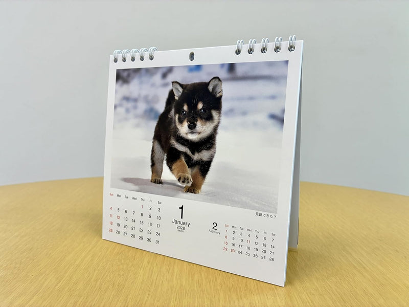 2026 Koshiba Calendar (Flip Desk/Ring Calendar) (Yama-Kei Calendar 2026)