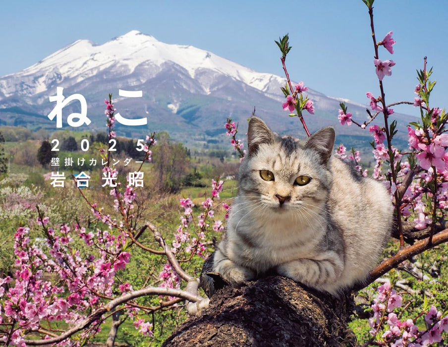 Mitsuaki Iwago Cat Wall Calendar 2025