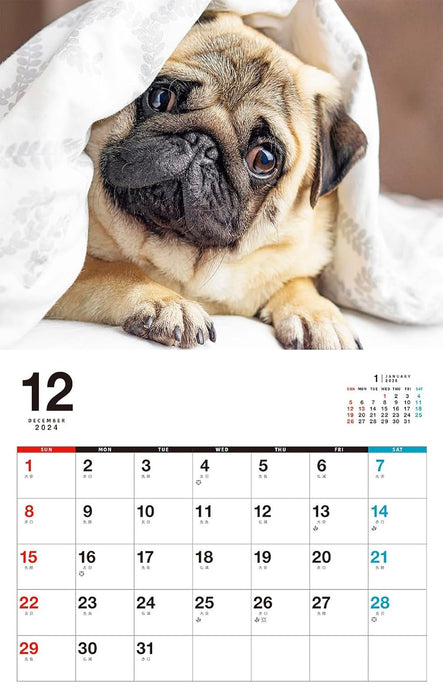 I LOVE Pug Calendar 2025 (Monthly/Wall Calendar)