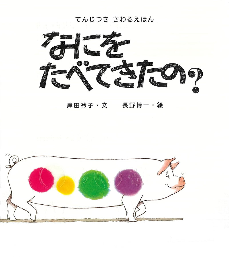 Sawaru Ehon Nani wo Tabe te kita no? with Braille
