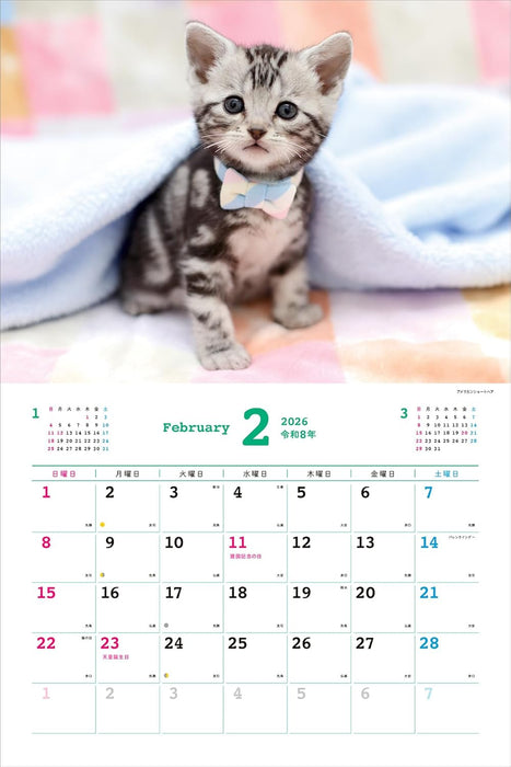 Too Cute Cat Calendar 2026