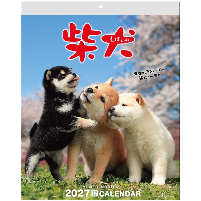 Active Corporation 2027 Wall Calendar Yoneo Morita Marugoto Shibainu 27ACL-11