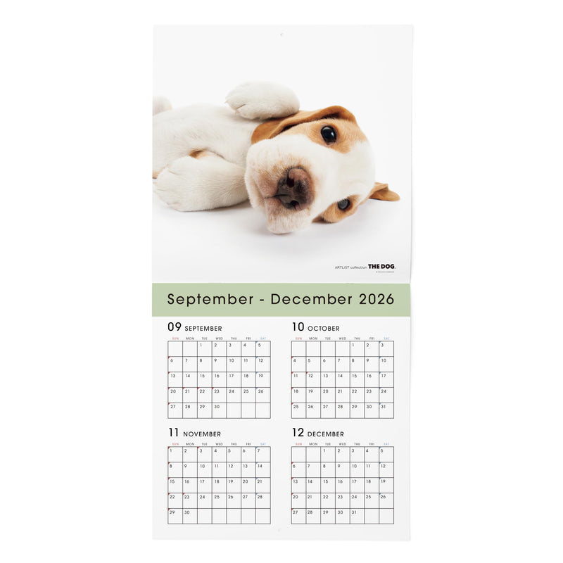 THE DOG 2027 Wall Calendar Large Size [Beagle]