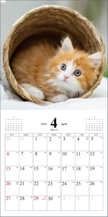 Koneko no Kimochi Calendar 2025 (Monthly/Wall Calendar)