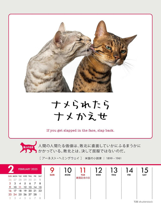 Try-X Life Works Itself Out! 2025 Desk Wall Calendar CL-384 18 x 14cm