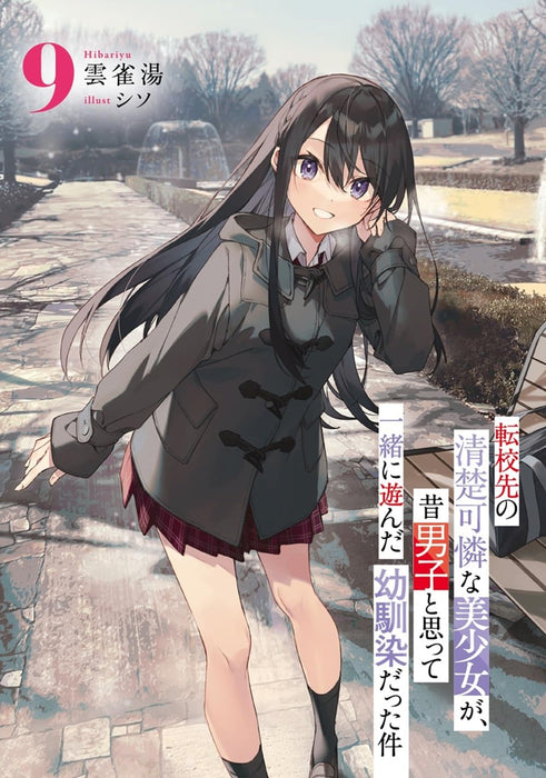 Tenkou-saki no Seiso Karen na Bishoujo ga, Mukashi Danshi to Omotte Issho ni Asonda Osananajimi datta Ken 9 (Light Novel)