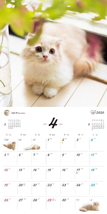 Orange Page Uchi no Nyanko. 2026 Wall Calendar