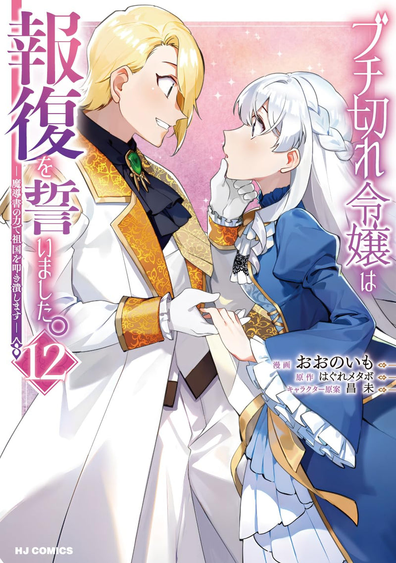 Buchigire Reijou wa Houfuku wo Chikaimashita. 12 - Madousho no Chikara de Sokoku wo Tataki Tsubushimasu -