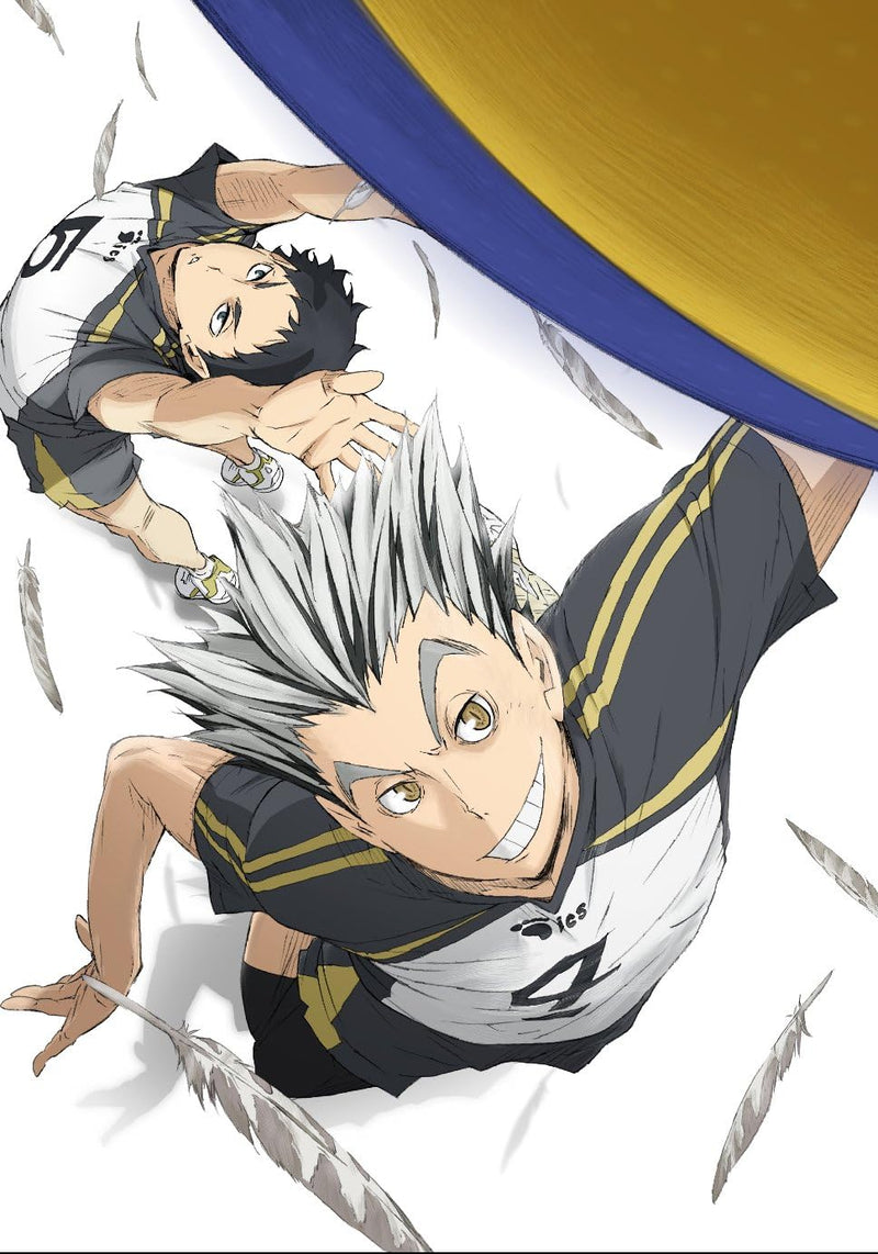 Haikyu!! Second Season Vol.4 (Limited First-Press Edition) [DVD]