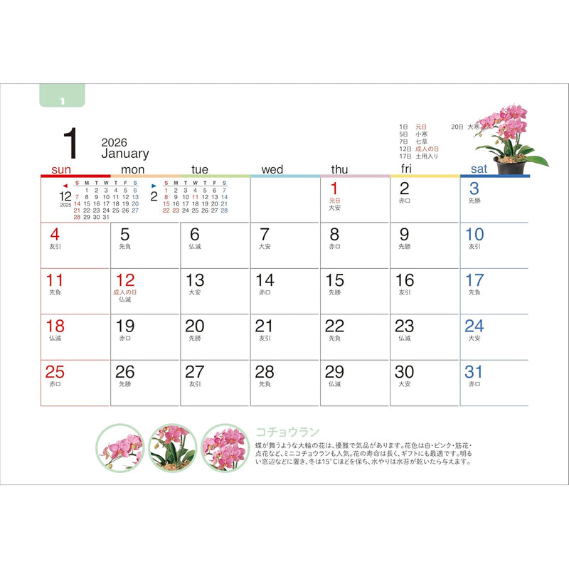 Todan 2026 Desk Calendar All Paper Green Life 12.8 x 18.4cm TD-238