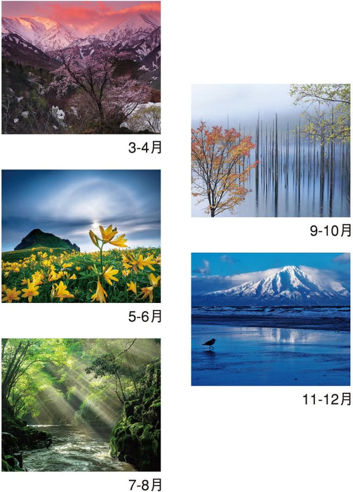 New Japan Calendar 2025 Wall Calendar Amazing Nature NK116 610x425mm