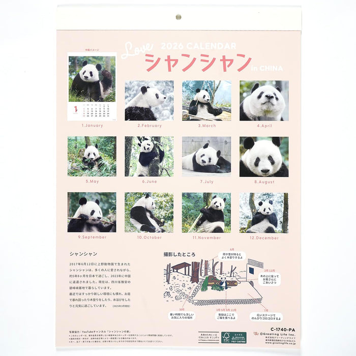 Greeting Life 2026 Wall Calendar Xiang Xiang Panda C-1740-PA