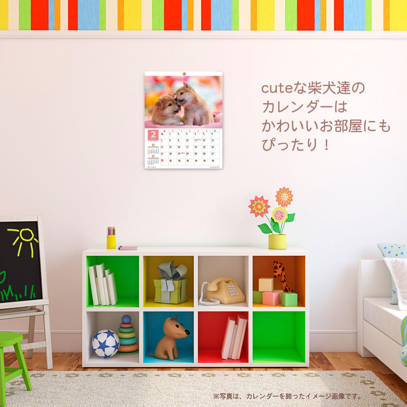 Active Corporation 2027 Wall Calendar Yoneo Morita Marugoto Shibainu 27ACL-11