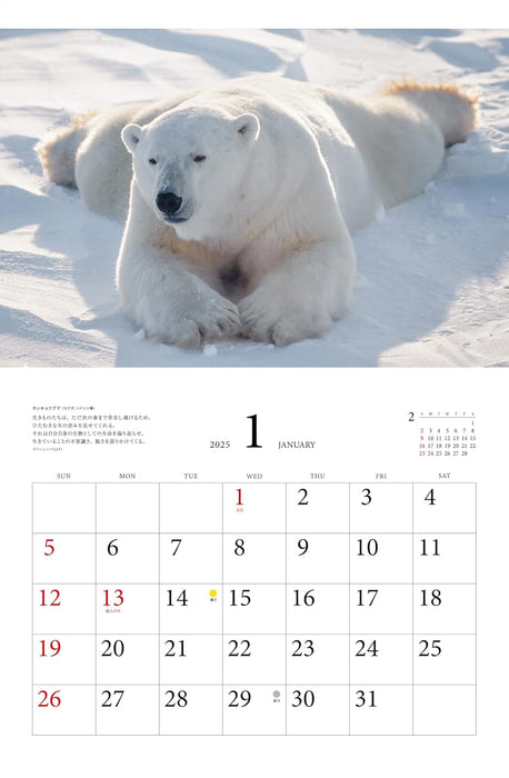 Calendar 2025 The best of Michio Hoshino, Creatures of the Arctic (Monthly/Wall Calendar) (Yama-kei Calendar 2025)