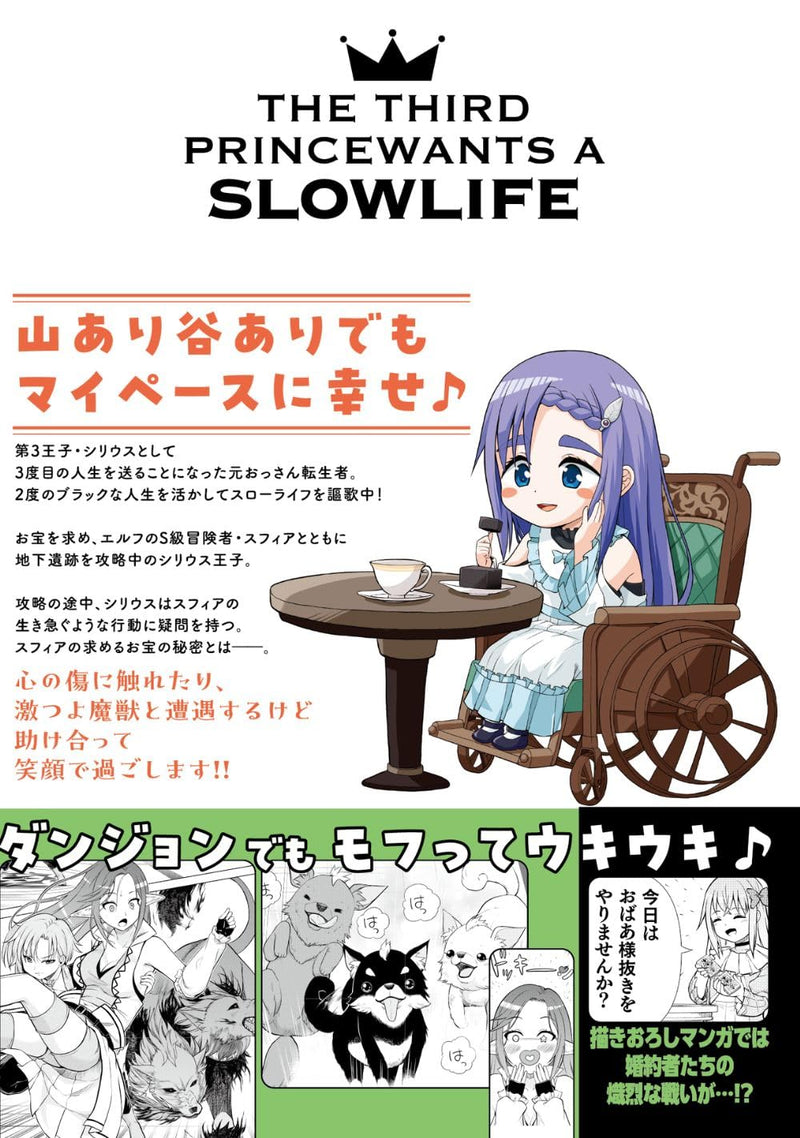 Dai San Ouji wa Slow Life wo Goshomou 8