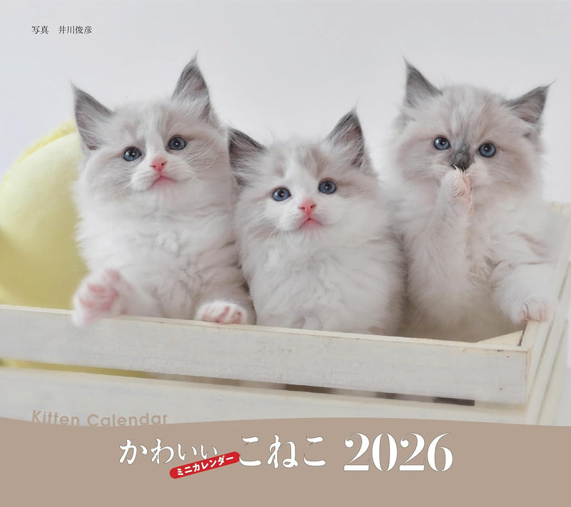 2026 Adorable Kittens Calendar (Seibundo-shinkosha Calendar)