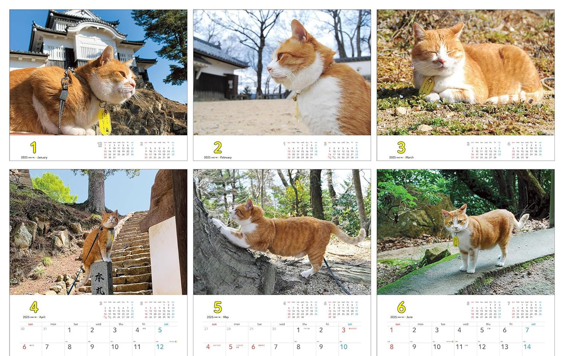 Sanjuro, Cat Lord of the Castle 2025 Calendar